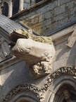 pw chartres cathedrale 20
